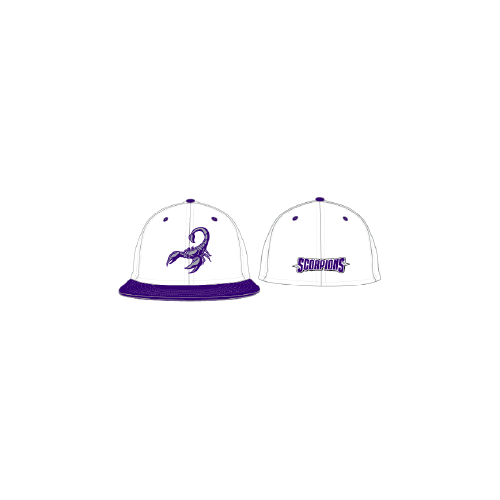 Scorpions Game Hat - White/Purple